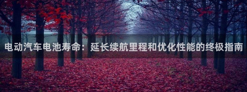 优发国际手机客户端下载安装手机版