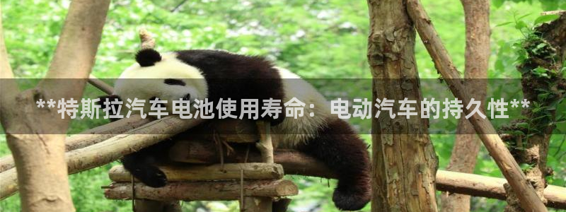 优发国际下载