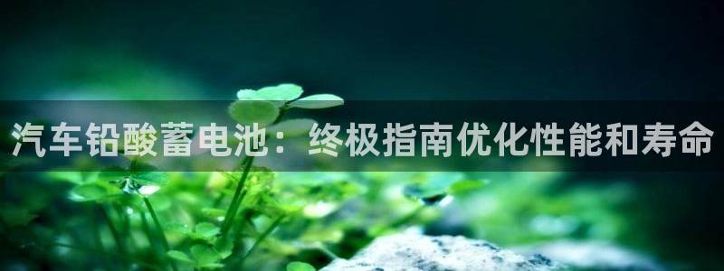优发国际安卓版下载安装教程