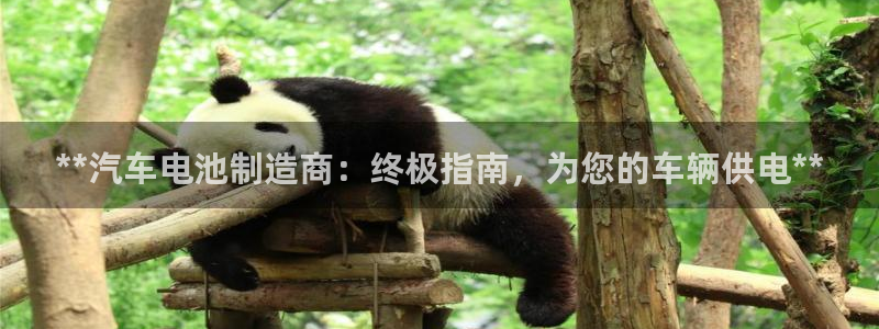 优发国际提现不了
