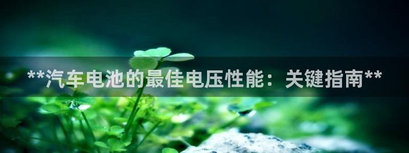 优发国际手机app下载安装官网