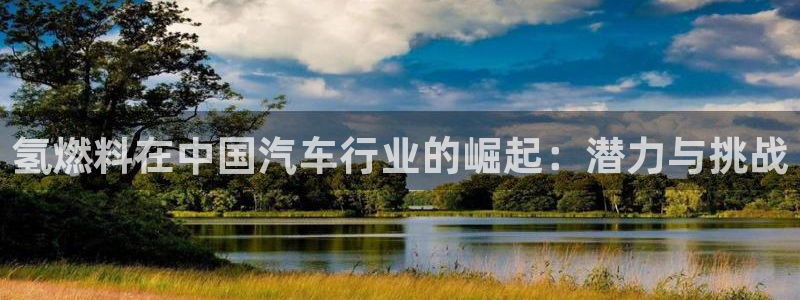 优发国际合并到哪里了啊
