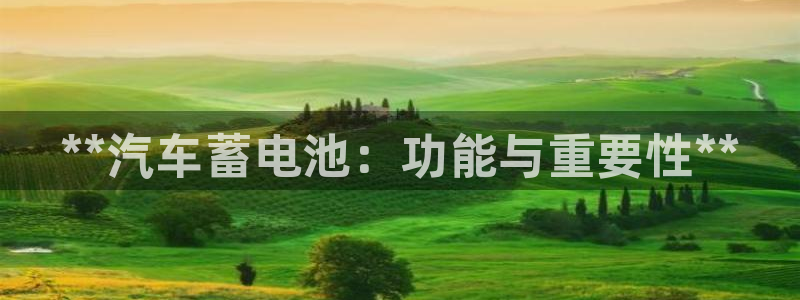 优发国际官网网站首页