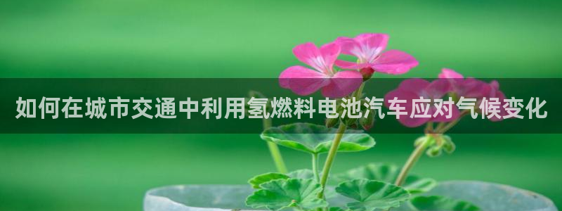 优发国际软件下载官网