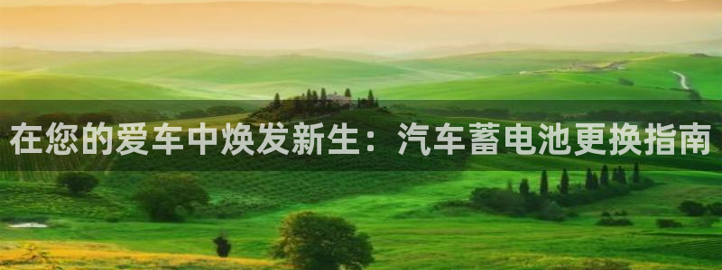 优发国际平台u8是什么