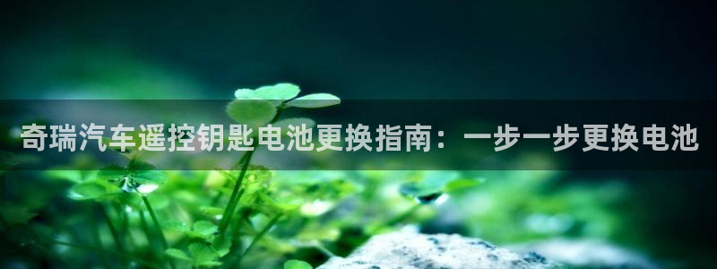 优发国际手机版唯一官网下载