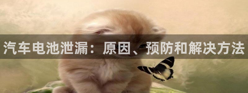 优发国际官网,首页网址