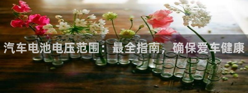 优发国际安卓版下载安装最新版