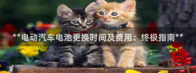 优发国际平台网站