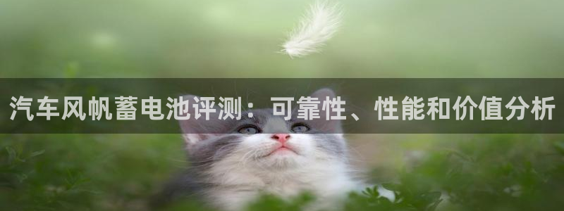 优发国际官网qy88