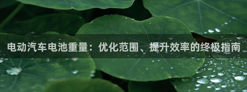 优发国际网站多少