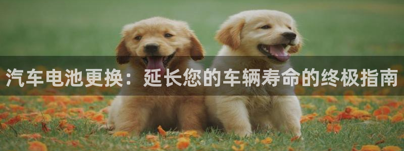 优发国际手机客户端app