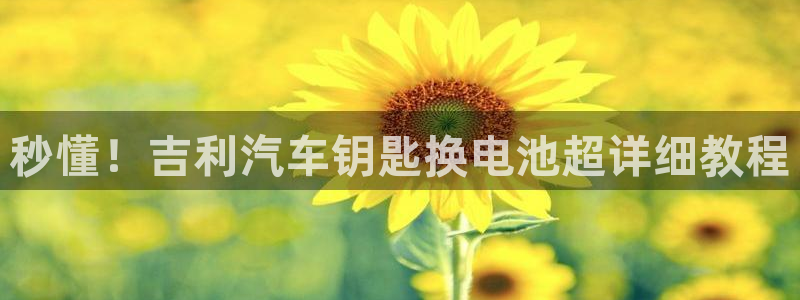 优发国际官网是多少：秒懂！吉利汽车钥匙换电池超详细教程