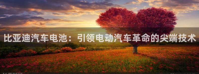 优发国际登陆：比亚迪汽车电池：引领电动汽车革命的尖端技术