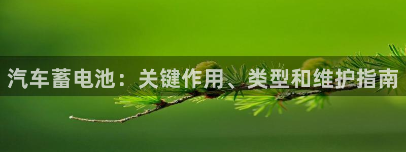 优发国际平台u8是什么公司