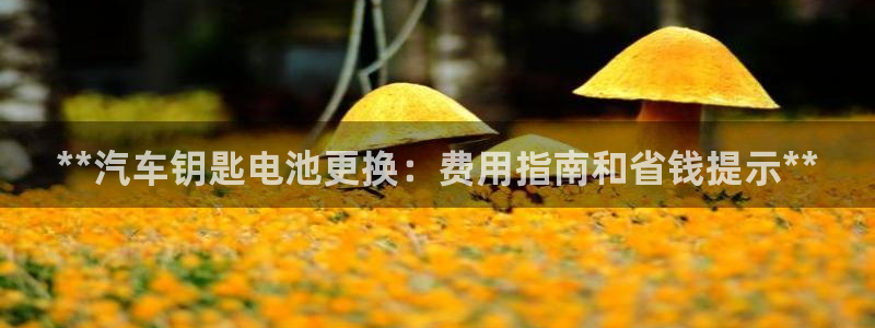 优发国际官网手机版下载安卓