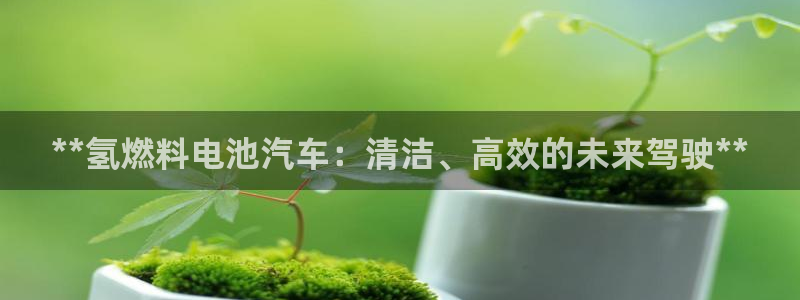 优发国际手机客户端官网