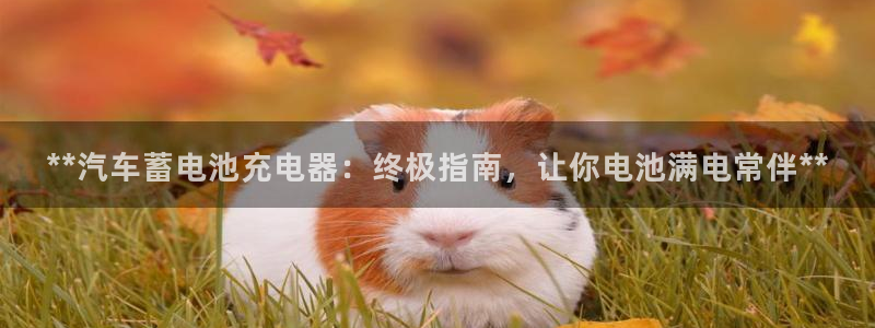 优发国际官方下载app：**汽车蓄电池充电器：终极指南，让你电池满电常伴**