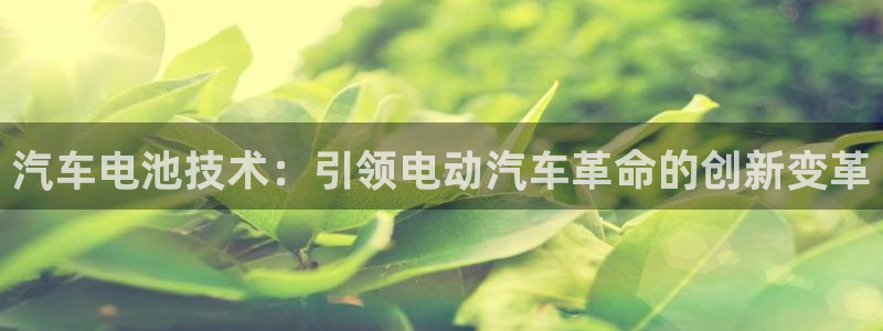 优发国际平台u8是什么公司