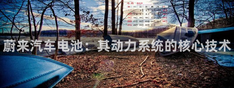优发国际平台g80：蔚来汽车电池：其动力系统的核心技术