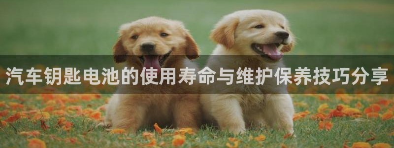 优发国际游戏n