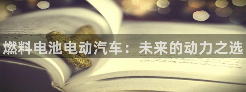 优发国际提现不了：燃料电池电动汽车：未来的动力之选
