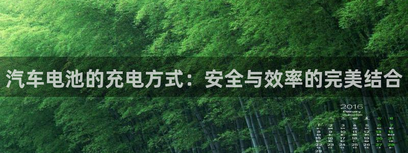 优发国际注册平台：汽车电池的充电方式：安全与效率的完美结合