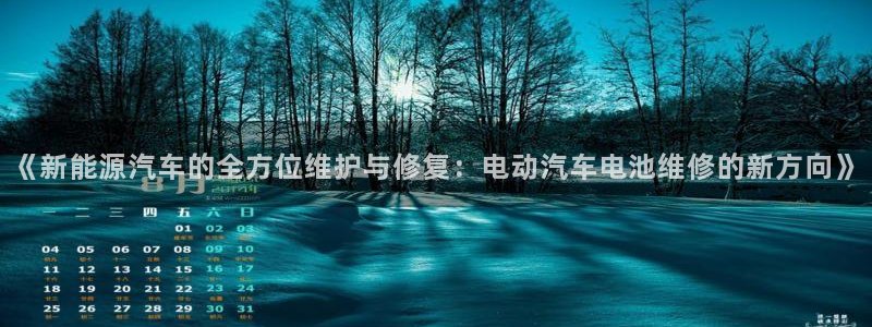 优发国际手机客户端app：《新能源汽车的全方位维护与修复：电动汽车电池维修的新方向》