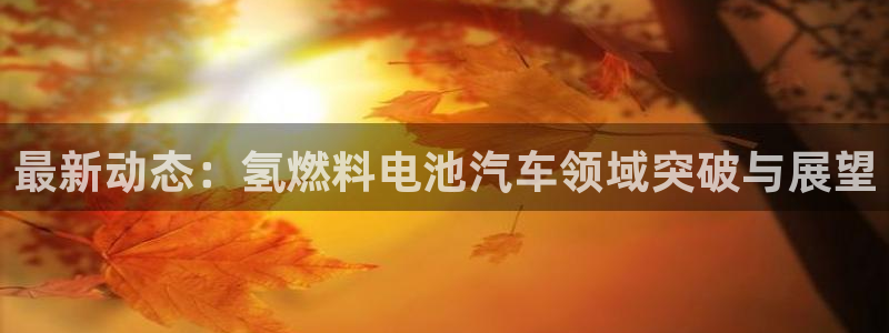 优发国际平台app下载安装：最新动态：氢燃料电池汽车领域突破与展望