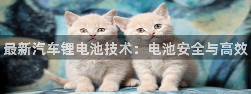 优发国际官网首页入口：最新汽车锂电池技术：电池安全与高效