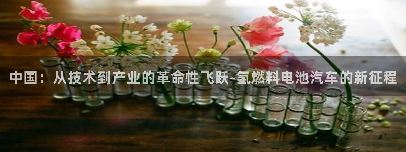 优发国际官网网站入口