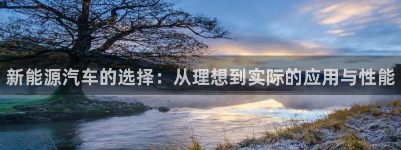 优发国际官方网平台电话