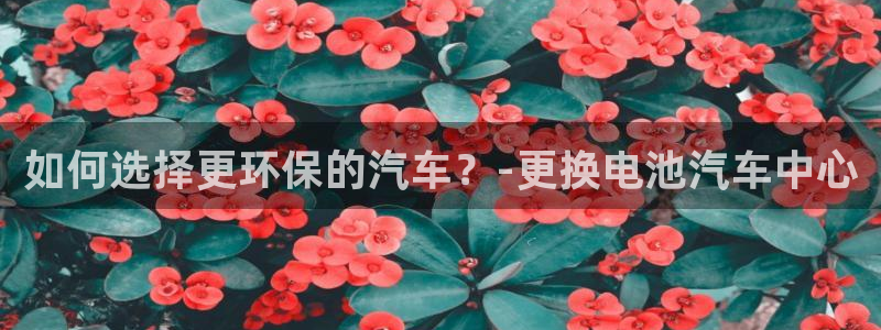 优发国际官方网手机版：如何选择更环保的汽车？-更换电池汽车中心