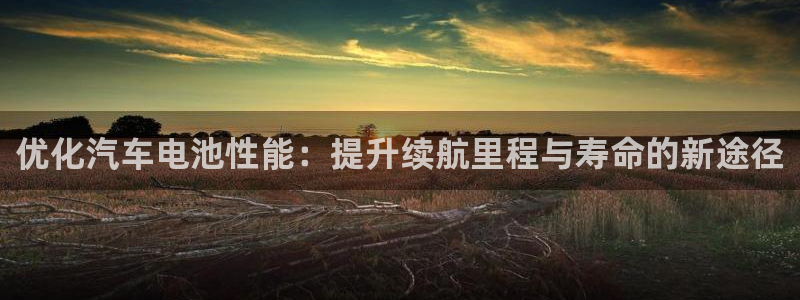 优发国际平台g80：优化汽车电池性能：提升续航里程与寿命的新途径