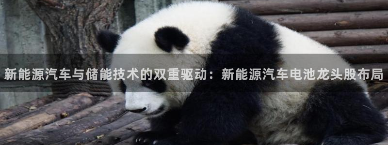 优发国际手机客户端下载官网：新能源汽车与储能技术的双重驱动：新能源汽车电池龙头股布局