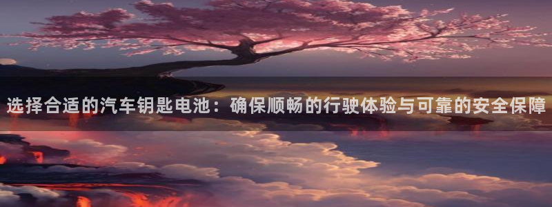 优发国际网站：选择合适的汽车钥匙电池：确保顺畅的行驶体验与可靠的安全保障