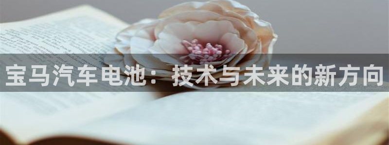 优发国际官网网站入口：宝马汽车电池：技术与未来的新方向