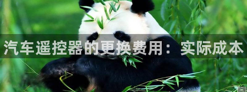 优发国际网官网17q8：汽车遥控器的更换费用：实际成本