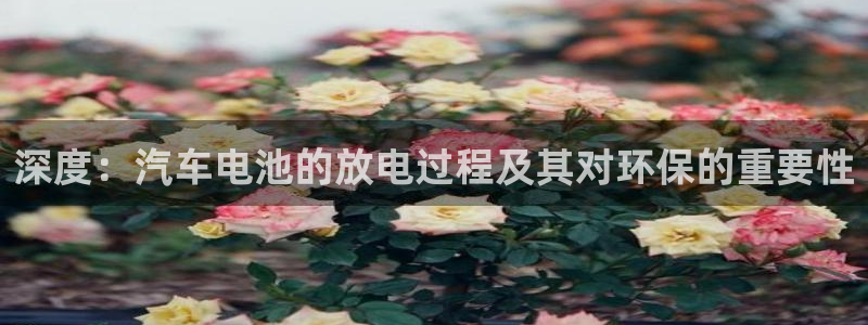 优发国际集团股份有限公司官网：深度：汽车电池的放电过程及其对环保的重要性