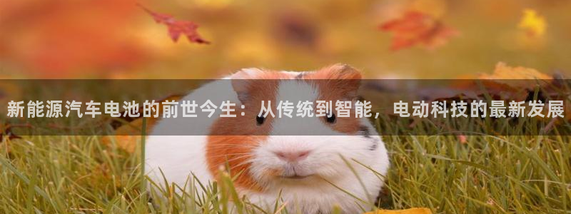 优发国际VIP网址：新能源汽车电池的前世今生：从传统到智能，电动科技的最新发展