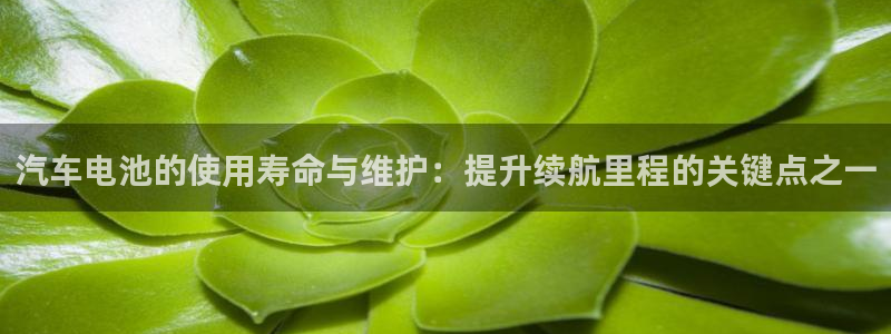优发国际下载app：汽车电池的使用寿命与维护：提升续航里程的关键点之一