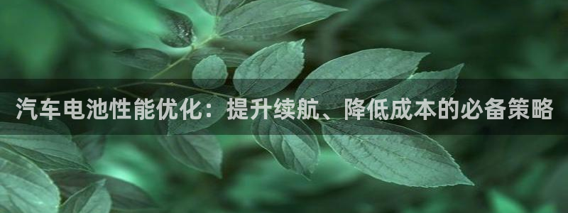 优发国际安卓版下载安装教程：汽车电池性能优化：提升续航、降低成本的必备策略
