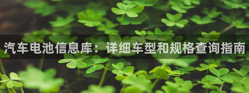 优发国际手机客户端怎么下载：汽车电池信息库：详细车型和规格查询指南