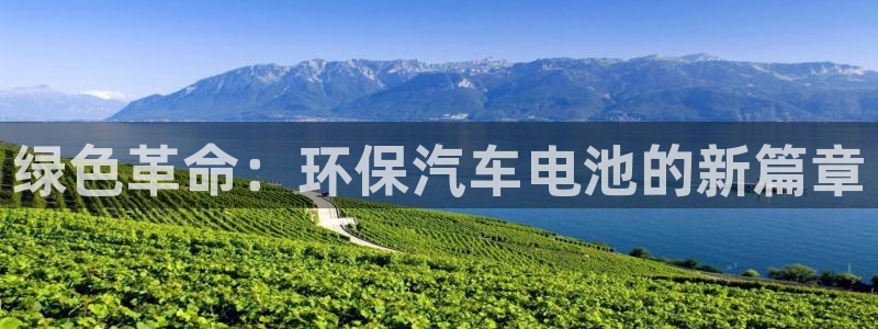 优发国际是大平台吗是真的吗