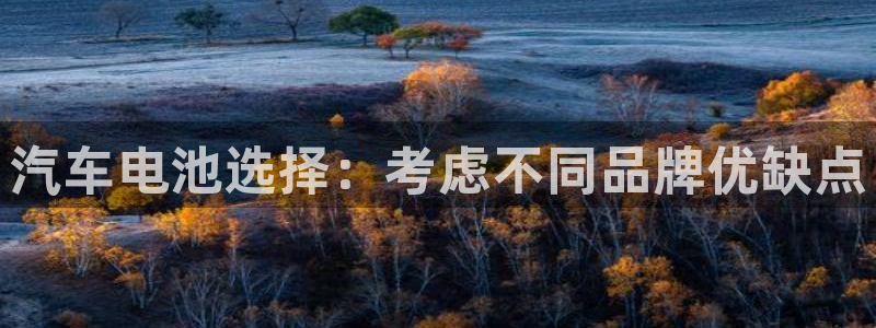 优发国际手机客户端怎么下载