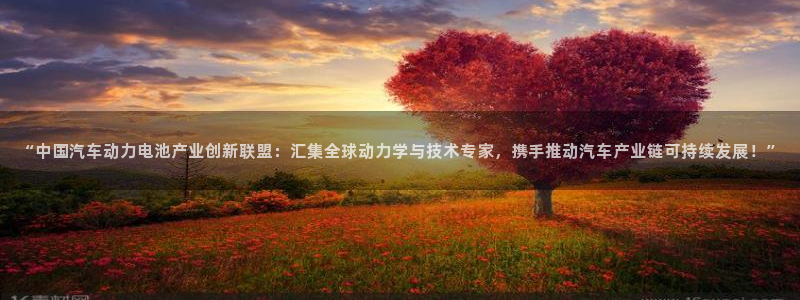 优发国际网官网17k8：“中国汽车动力电池产业创新联盟：汇集全球动力学与技术专家，携手推动汽车产业链可持续发展！”