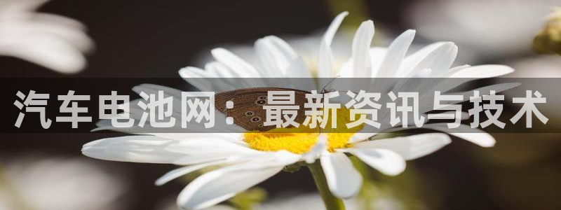 优发国际手机版客户端下载：汽车电池网：最新资讯与技术