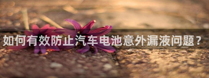 优发国际客服联系方式