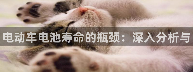 优发国际官方网：电动车电池寿命的瓶颈：深入分析与