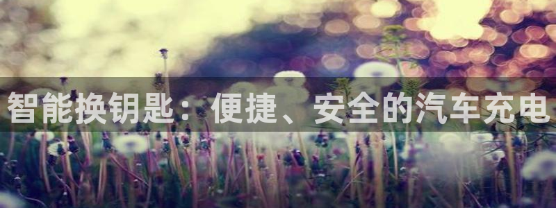 优发国际手机客户端app：智能换钥匙：便捷、安全的汽车充电